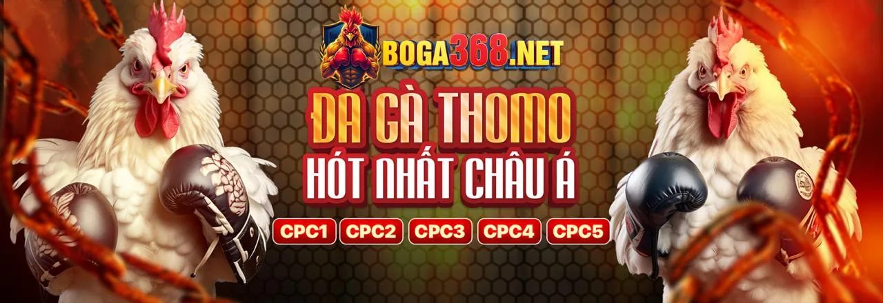 Tính năng nổi bật của NhatVip APK